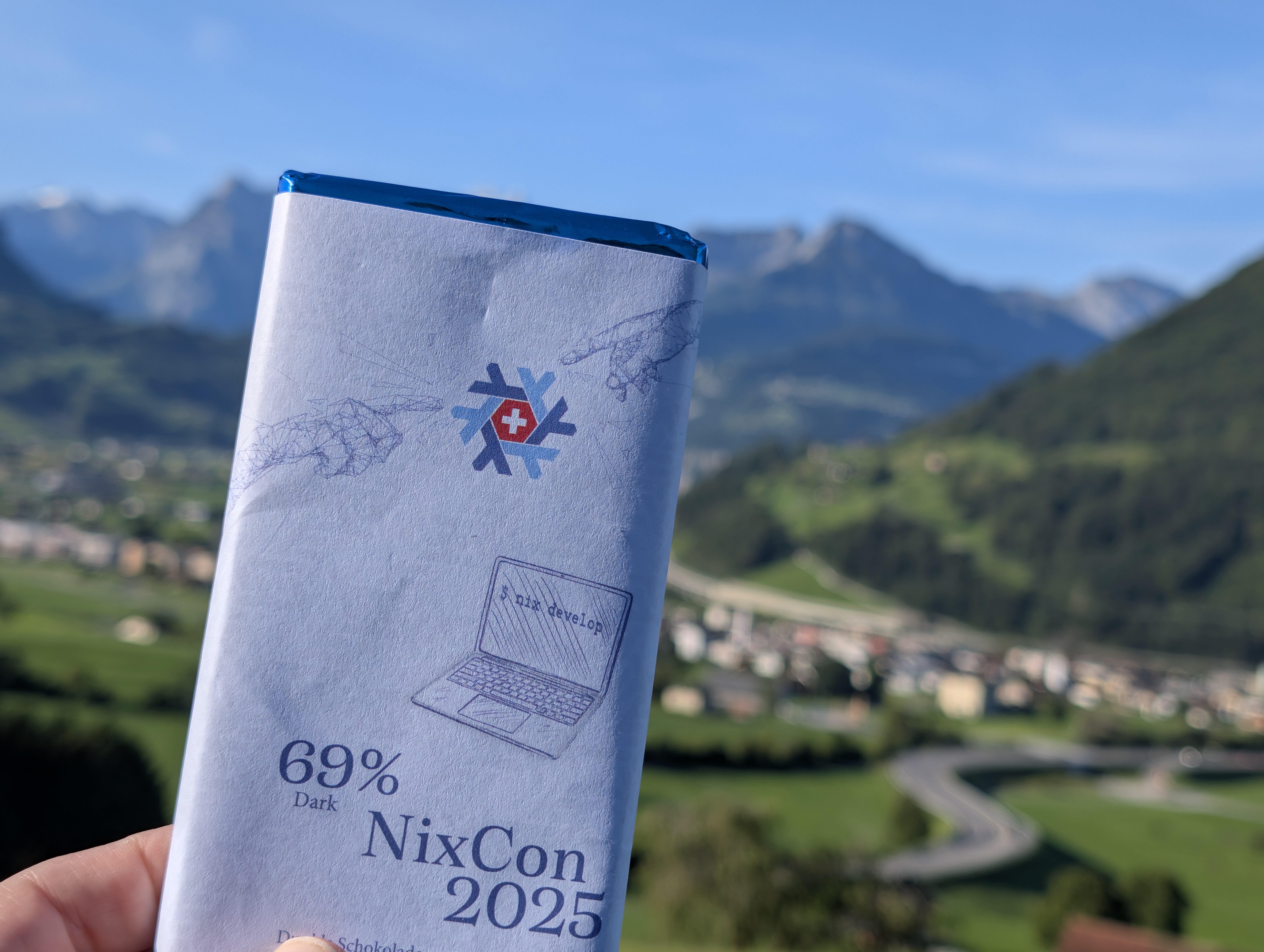 NixOS Steering Committee